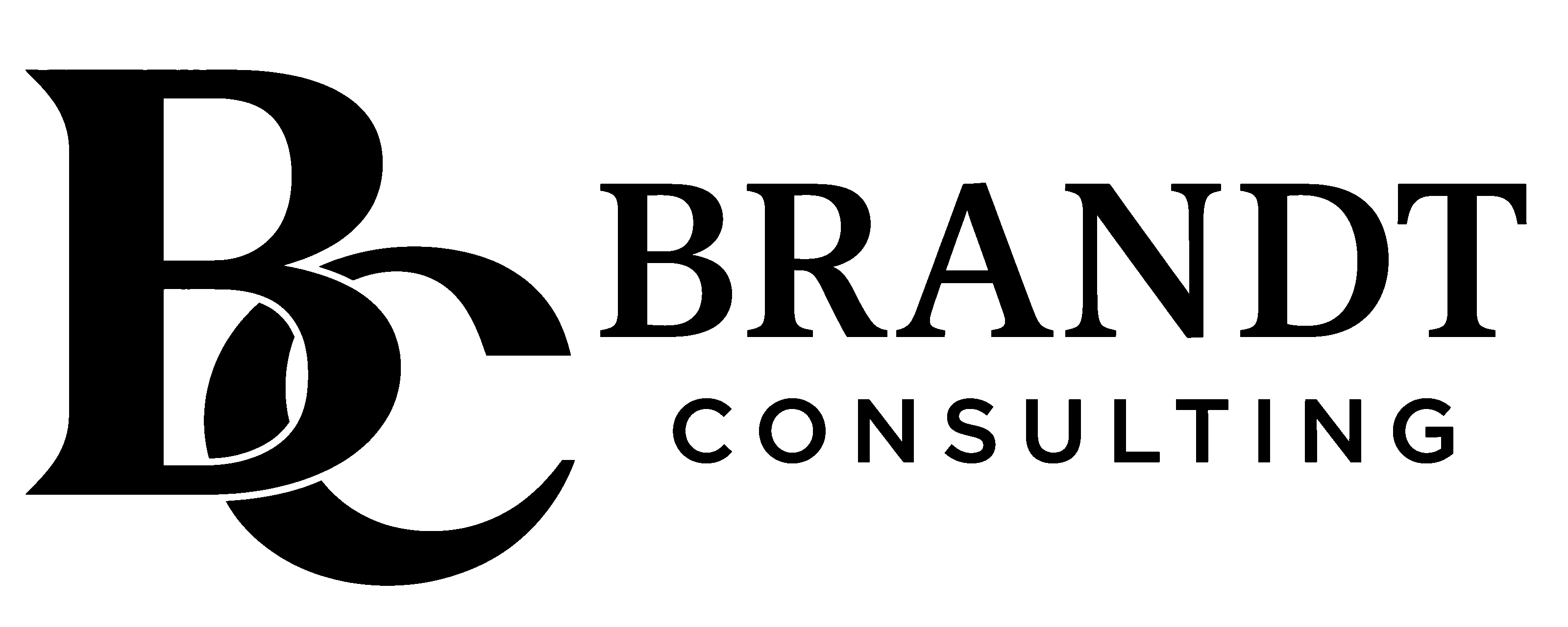 Bernd Brandt Consulting Logo
